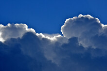 View Up At Billowing Cumulus Clouds 
