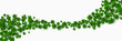 Green flying clover leaves isolated on white background. Vector illustration. Spring decoration for Patrick's day border or frame design