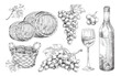 Hand drawn winery elements set, engraving style vector illustration isolated.