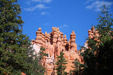 The Smooth And Rounded Tops Of The Red Rock Hoodoos In Bryce Canyon National Park