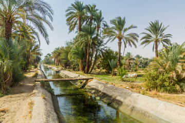 Wall Mural - Irrigation canal by the river Nile, Egypt