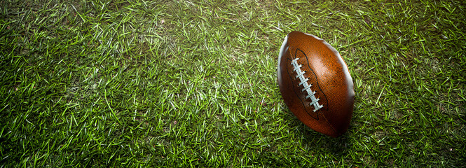 Wall Mural - American football ball on the grass of a stadium