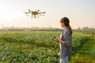 Young smart farmer controlling drone spraying fertilizer and pesticide over farmland,High technology innovations and smart farming