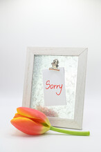 Handmade Wooden Frame With Note "Sorry" Attached Keywords*Required : 19/50 KeywordsHide Tag Suggestion  Pink Flowergiftdecorationcardbackgroundmessagelovetextgreetingcharacterpapertableframespa To It.
