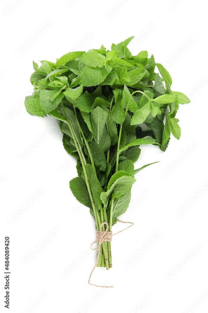 Bunch of mint on white background
