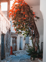 Poster - A closeup of Lefkes street in Paros island, Greece