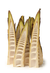 Sticker - fresh bamboo shoot on white background 