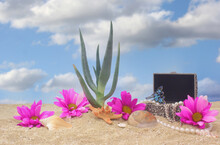 Jewelry And Aloe Plant On Beach With Blue Sky Background