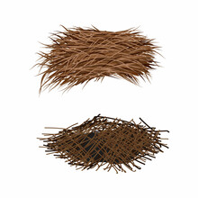 Bird Nests From Branches And Grass. Vector Objects