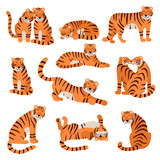 Fototapeta Dinusie - Cute Tigers set. Cartoon Tiger characters in different poses. Stand, run, sit, lie down animal. Hand drawn flat vector illustration isolated on white. For children decor, nursery design, banner.