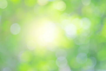Wall Mural - nature bokeh blur green leaf and light abstract background with sunlight and green tree, spring or s