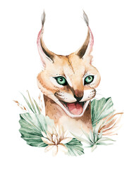 Wall Mural - Africa watercolor savanna caracal animal illustration. African Safari wild cat cute animals face portrait character. Isolated on whote poster, packaging ,invitation, wedding design