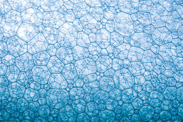 Wall Mural - Macro bubble,Macro close up of soap bubbles look like scienctific image of cell and cell membrane 