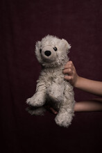 Fine Art Studio Portrait Of White Toy Teddy Bear Held By Child Hands On Dark Background
