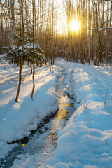 Wall Mural - A frozen forest stream in the rays of the sun, the sun's glare on the snow and trees.
