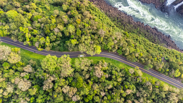Aerial top view of a highway beside a river in Iguaçu National Park, Parana, Brazil