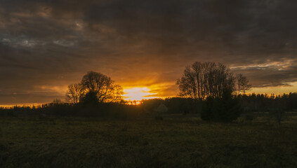 Wall Mural - glorious sunset through clouds over field and trees silhouettes