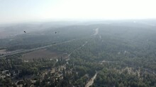 Lesser Spotted Eagles Soaring Over Ben Shemen Forest,aerial 
Drone View, Autumn Migration, Israel
