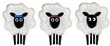 Drei Schafe die dich beobachten, Cartoon Style, mit Haarbändern, niedlich, Kawaii Kunst, Glubschi, 