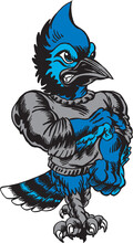 Blue Jay Mascot Vector Illustration