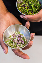 Pinch Bowls With Basil And Cilantro Flowers And Berries