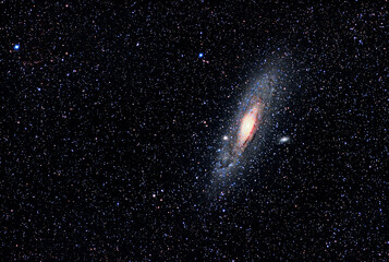 Wall Mural - m110 andromeda galaxy and a sky full of stars