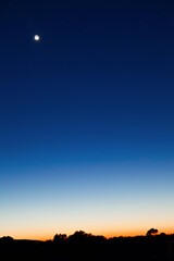 Wall Mural - crescent moon late at dusk