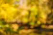 © Pixel-Shot - Blurred view of autumn trees, lake and bridge in park