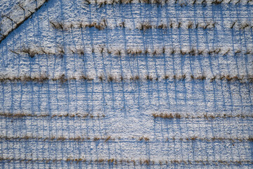 Canvas Print - Drone high angle photo of apple orchards covered with snow, Rogow village, Lodz Province of Poland