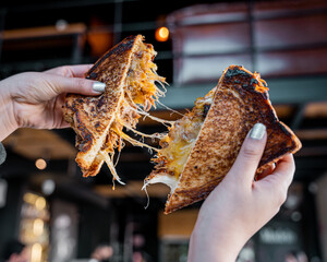 delicious mexican style grilled cheese birria