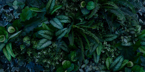 Wall Mural - Creative nature green background, tropical leaf banner or floral jungle pattern concept.