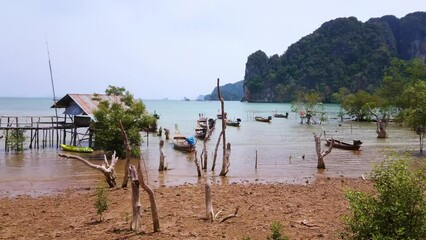 Canvas Print - The trunks of old mangrove trees, Ao Nam Mao Pier, Railay Beach, Thailand