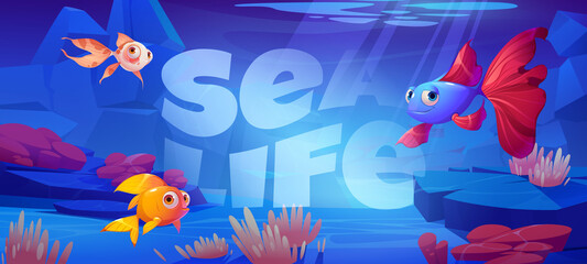 Wall Mural - Sea life cartoon banner with cute tropical fishes at coral reef underwater background for game or book cover. Marine ocean animals, undersea wildlife with seaweeds grow at rocks, Vector illustration