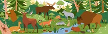 Forest Animals In Wild Nature. Environment Landscape With Trees And Habitats. Biodiversity Of Flora And Fauna In Temperate Woods. Wildlife In Woodland Panorama. Colored Flat Vector Illustration