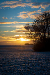 Wall Mural - Sun is rising over snow covered farm fields in southern Sweden