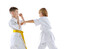 © master1305 - Dynamic portrait of two little boys, taekwondo or karate athletes wearing doboks training together isolated on white background. Concept of sport, martial arts