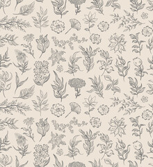 Wall Mural - Seamless pattern plant nature hand drawn set. Outline botanical element.Elegante vintage style.