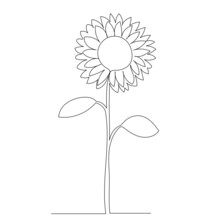 Sunflower One Line Drawing, Outline, Vector, Isolated