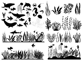 Wall Mural - marine animals and fish, seaweed silhouette ,on white background, vector