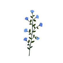 Abstract Blue Wildflower Isolated On White Background. Wild Flower Floral Botanical Plant. Meadow And Field Herb. Delicate Spring Flower Illustration In Hand Drawn Flat Style