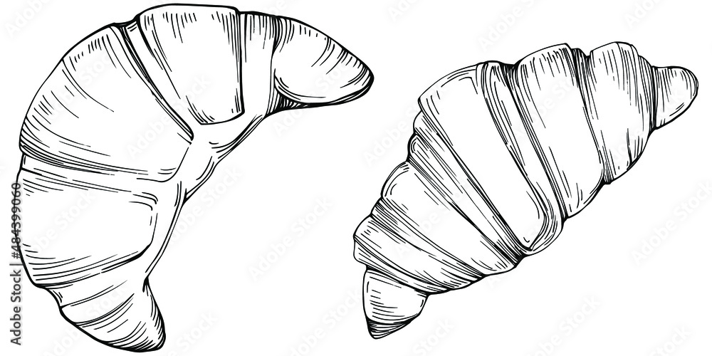 Croissant vector hand drawn illustration in vintage and retro graphic ...