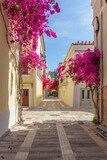 Fototapeta  - Scenic view of cobbled street, facades of shops and a full blooming bougainvillea in the  old town of Nafplio Argolis Greece.