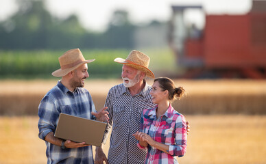 Wall Mural - Farmers talking in field in summer time during harvest