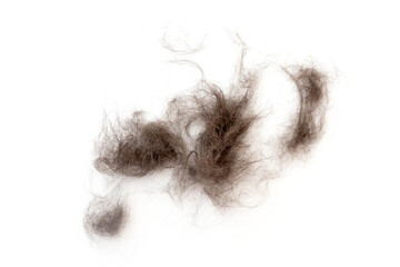 Close-up of heap cat fur isolated on white, top view