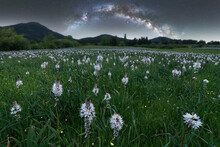 Field With Flowers And Mountain In Evening Time