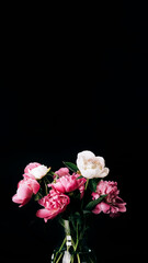 Wall Mural - Bouquet of pink and white peonies in glass vase on black background with copy space vertical banner. Floral card design. Selective focus