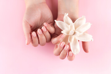 Wall Mural - Female hands with beautiful natural manicure - pink nude nails with white dried flower on pink background. Nail care concept
