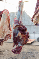 Wall Mural - Carcasses of horses are hung out in the open air for airing before meat processing. Carcasses of horses are ready for cutting. Meat business concept.