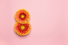 International Women's Day. Banner, Flyer, Postcard For March 8. Gerbera In The Shape Of The Number 8 On A Pink Background.