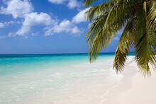 Seven Miles Beach In Grand Cayman